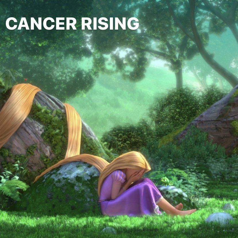 danthelilmerman's tweet photo. cancer 🦀 https://t.co/EU4YnxDUC4
