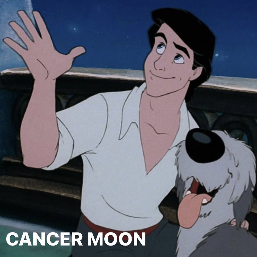 danthelilmerman's tweet photo. cancer 🦀 https://t.co/EU4YnxDUC4
