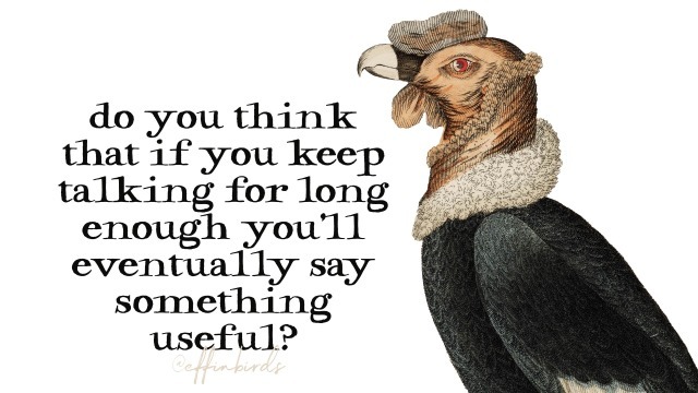 Effin' Birds (@effinbirds) on Twitter photo 