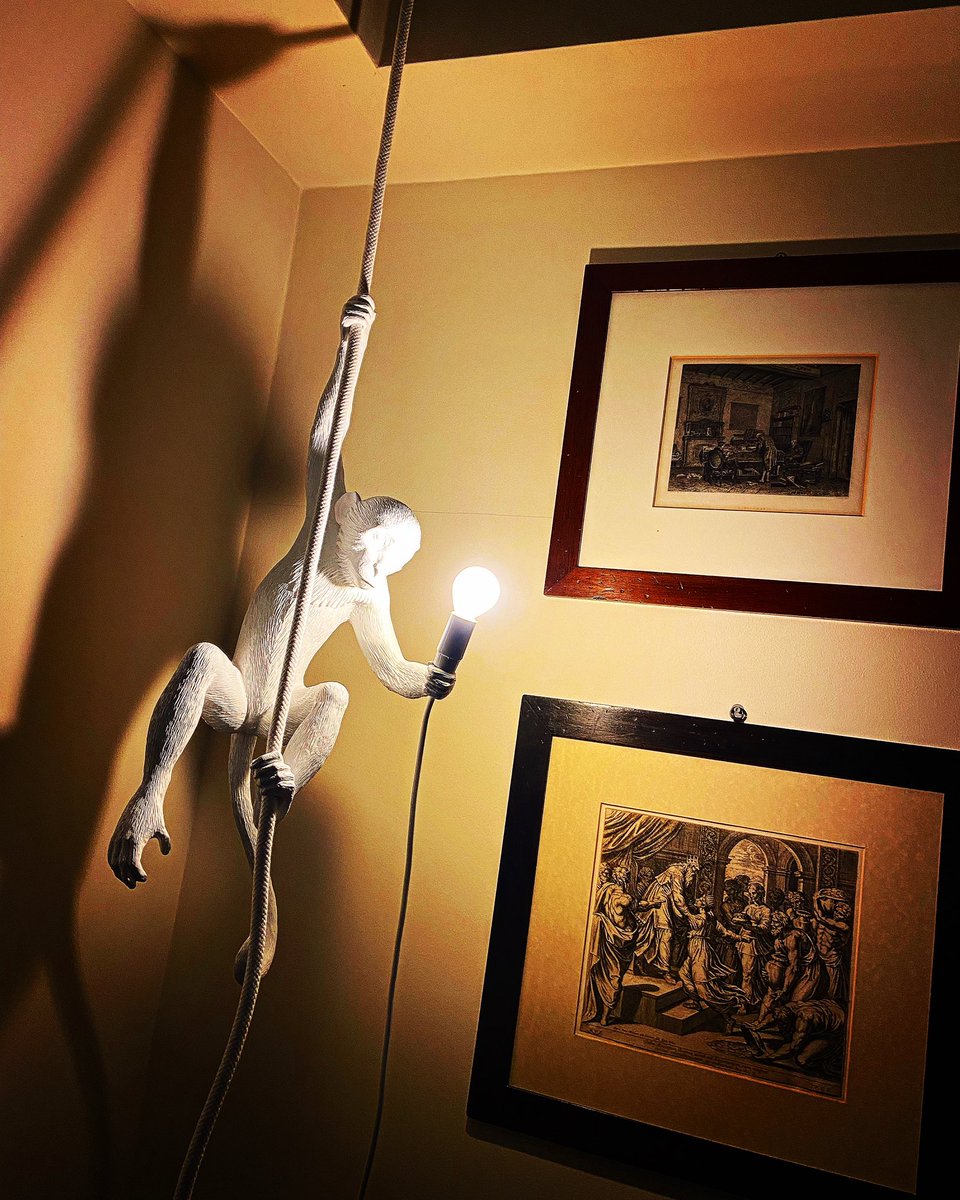 Federissao's tweet photo. Abbiamo preso una scimmia… #monkeylamp #seletti https://t.co/Ey38m2Kc4D