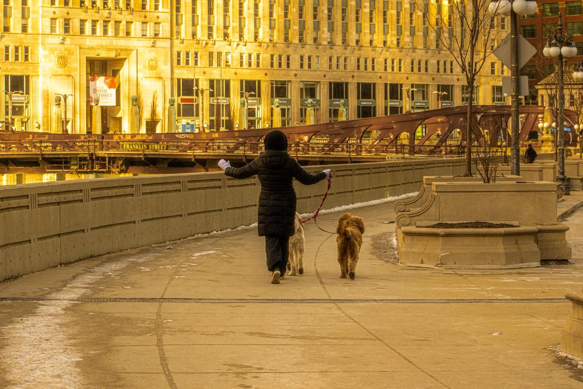 ADOGMADROWNED tweet media