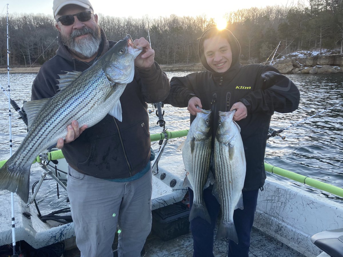 Bailey's Beaver Lake Striper Guide Service tweet media
