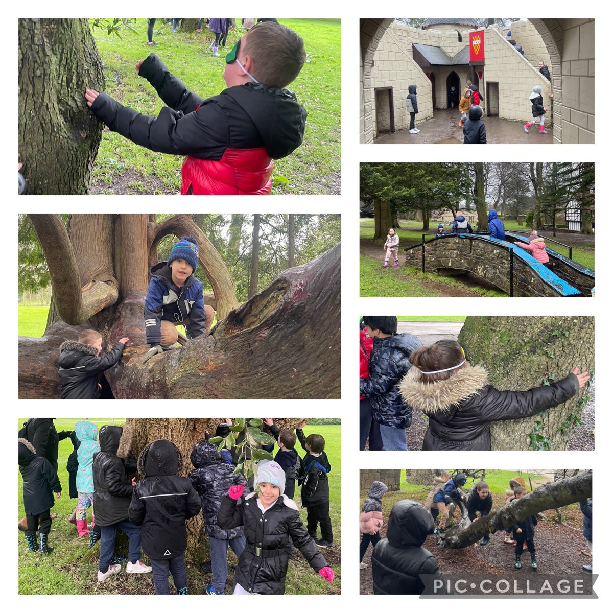 Sandfields_Pri's tweet photo. Despite the weather Toucans had lots of fun when they visited @Margampark on Friday. #SPFTOUCANS #SFPHWB #treehugging #exploring https://t.co/E9RQ0l8emR