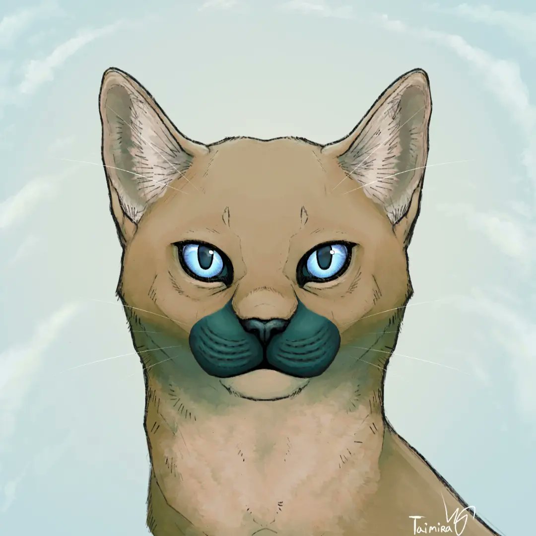 taimiratta's tweet photo. Redraw.
Experiment with cat proportions. I was too lazy to do the background and color, so this didn't come out very good.
#art #cat #kitty #sketch #redraw #lazy #work #artwork #ibisPaintX #DigitalArtist #artist https://t.co/EqAXYXhyzM