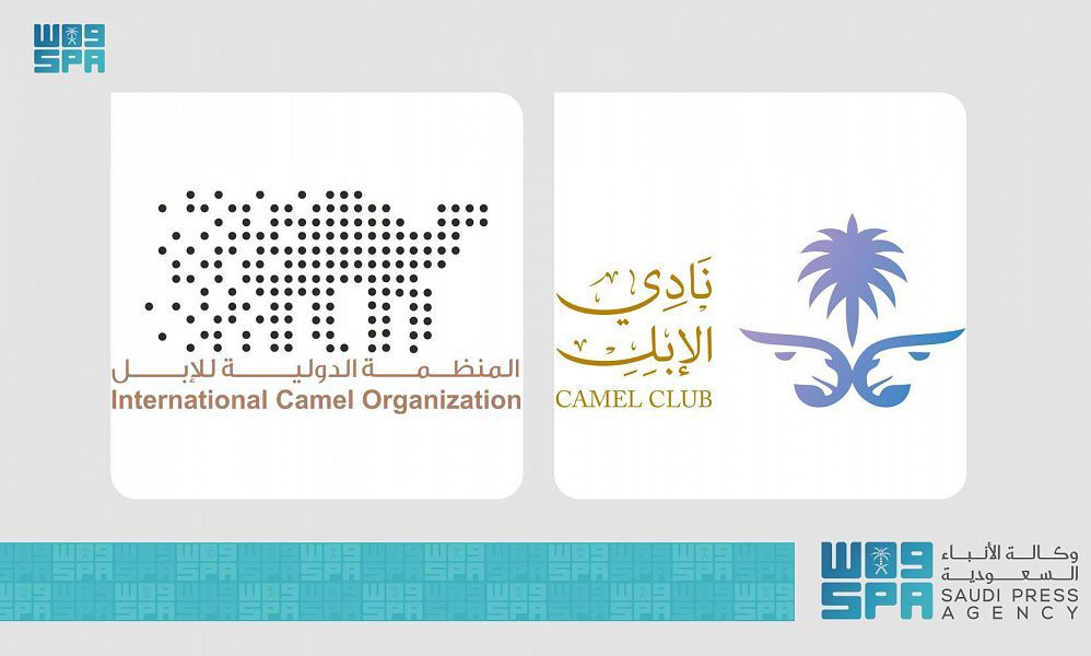 ملتقى سعودي أوروبي لبحث فرص الاستثمار في قطاع الإبل.
spa.gov.sa/2336998
#واس_رياضي