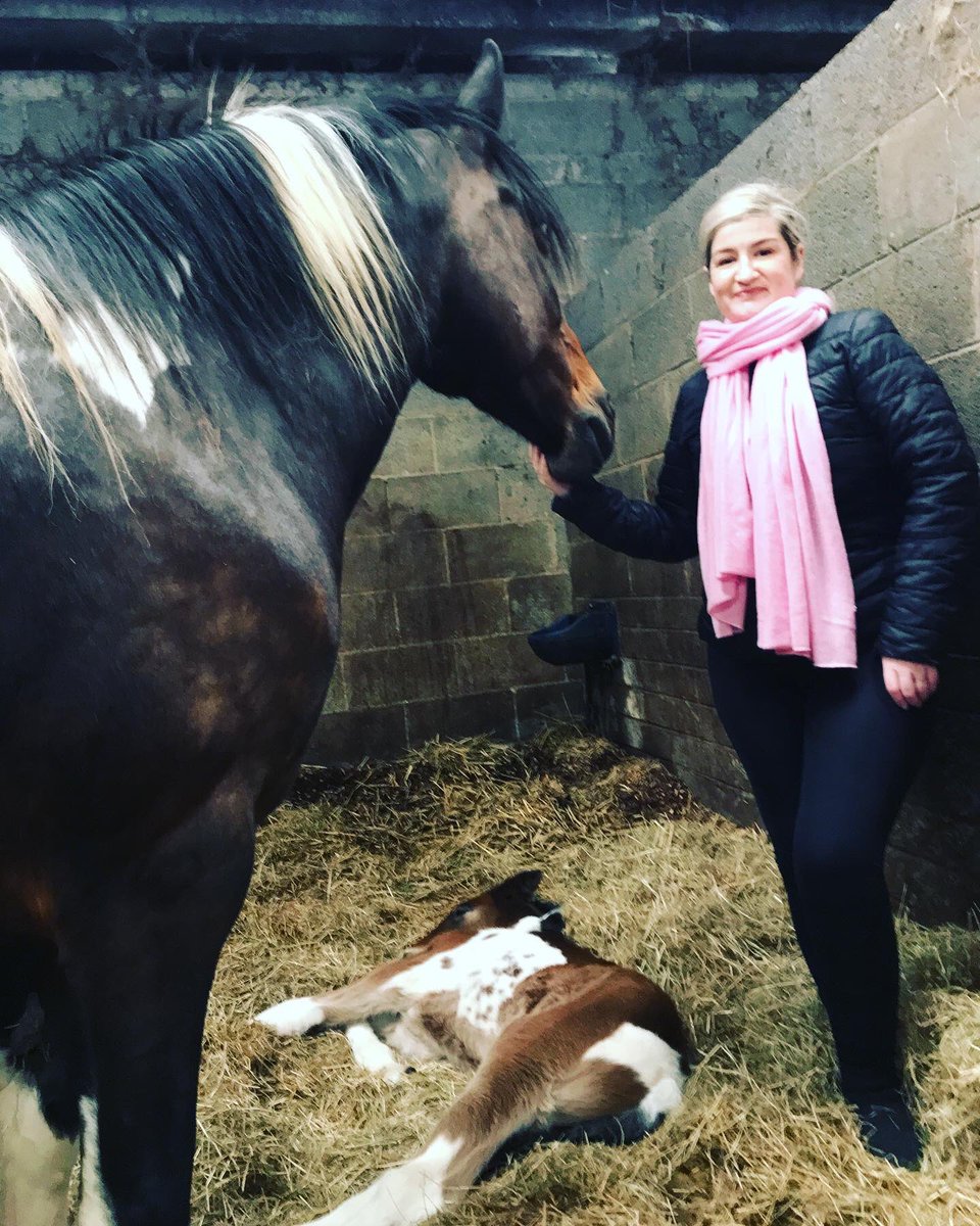 Councillor Eimer McCormack tweet media