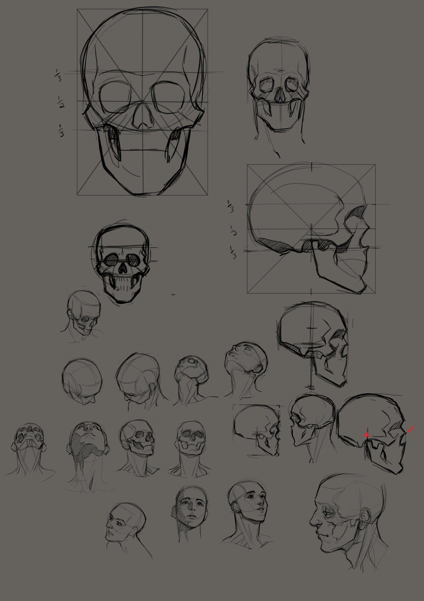 Studies from January. The arms are directly taken from photo reference. Wanted to practice heads in different angles too 