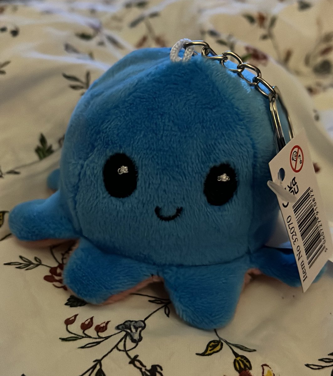 beth_crossing's tweet photo. Today I went on a date and managed to win this cute lil reversible octopus 🥺😍 https://t.co/hxh4yLJoKh