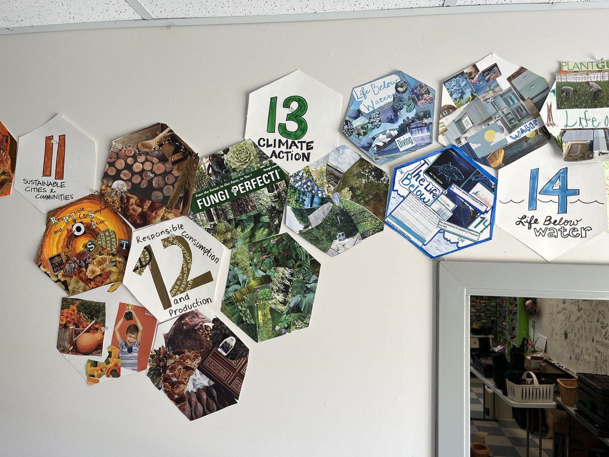 Celia Graef tweet media