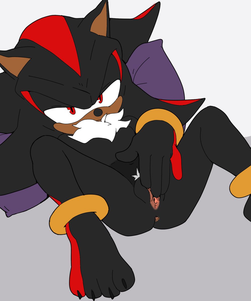 Arrow_Hearted's tweet photo. Pussy Shadow Supremacy https://t.co/gBykCDI5Cf