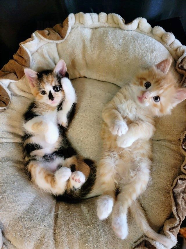 VincentRedStick's tweet image. harry.loveme.run
Hope you like our compilation, please share it and FOLOW ME! Watch also our other videos!