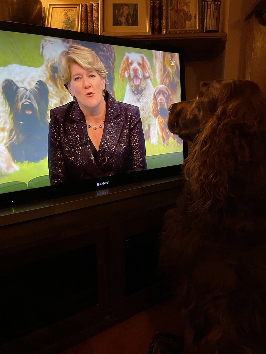 #crufts