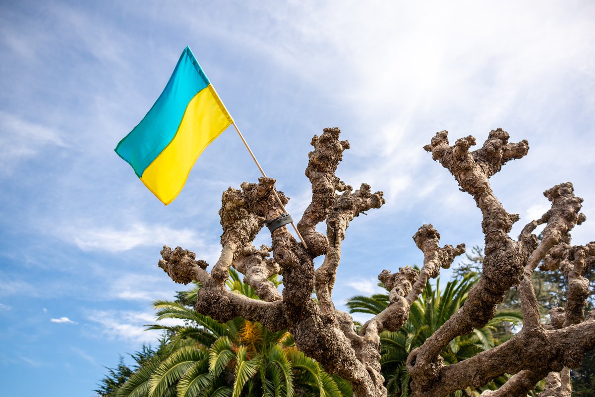 keaneli's tweet photo. Took some photos from the #SF4Ukraine benefit concert yesterday in Golden Gate Park. Great event! Will be posting my favorite pics soon: https://t.co/kOWn7Cjn28 and you can donate to @WCKitchen here: https://t.co/OhRcuUtIzy #StandWithUkraine 🇺🇦 https://t.co/q4pQGjD08G