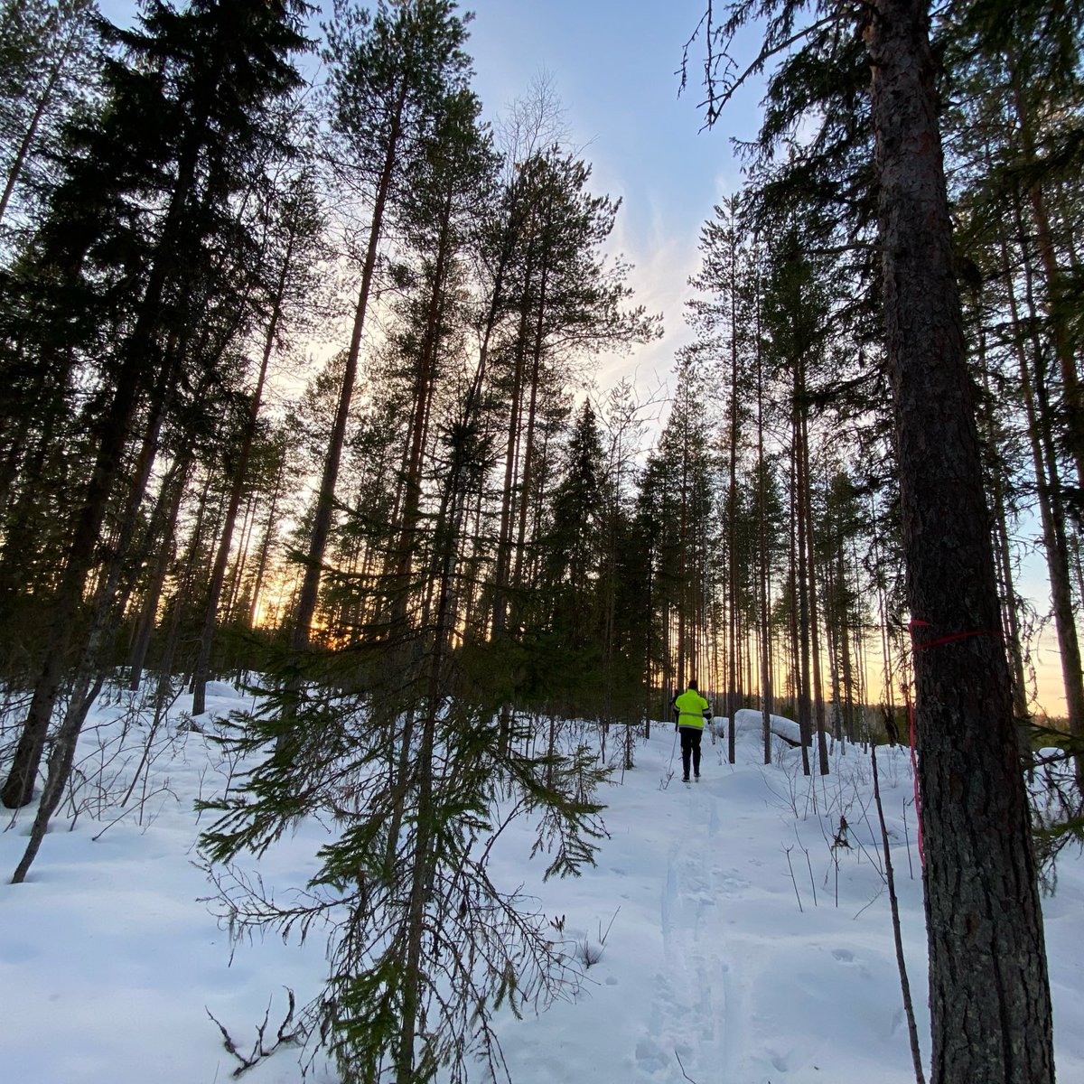 RahkonenHannele's tweet photo. Tänään tuli hiihdettyä auringonlaskuun. Olen vakuuttunut onnen asuvan hetkissä ja tässä se on. #onnellisuus #hetket #jämsä #luonto #hiihtäminen #talvi https://t.co/moiHGIEU5n