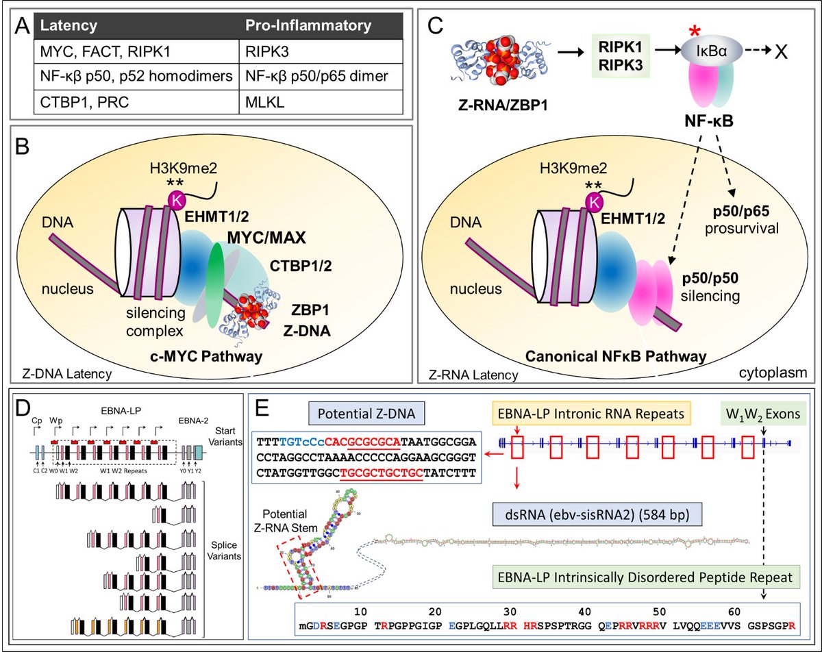 insideoutbio tweet media
