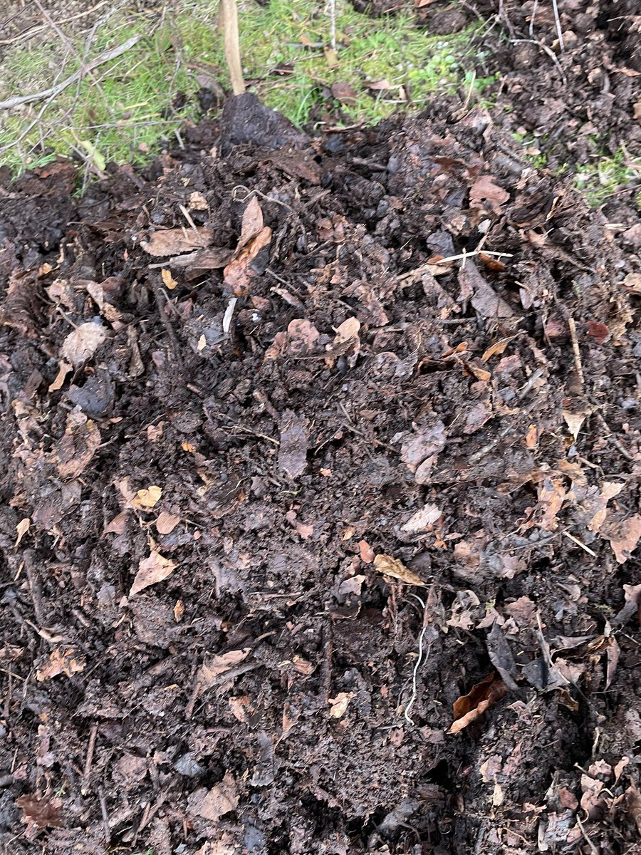 #LeafMould the real  #BlackGold!