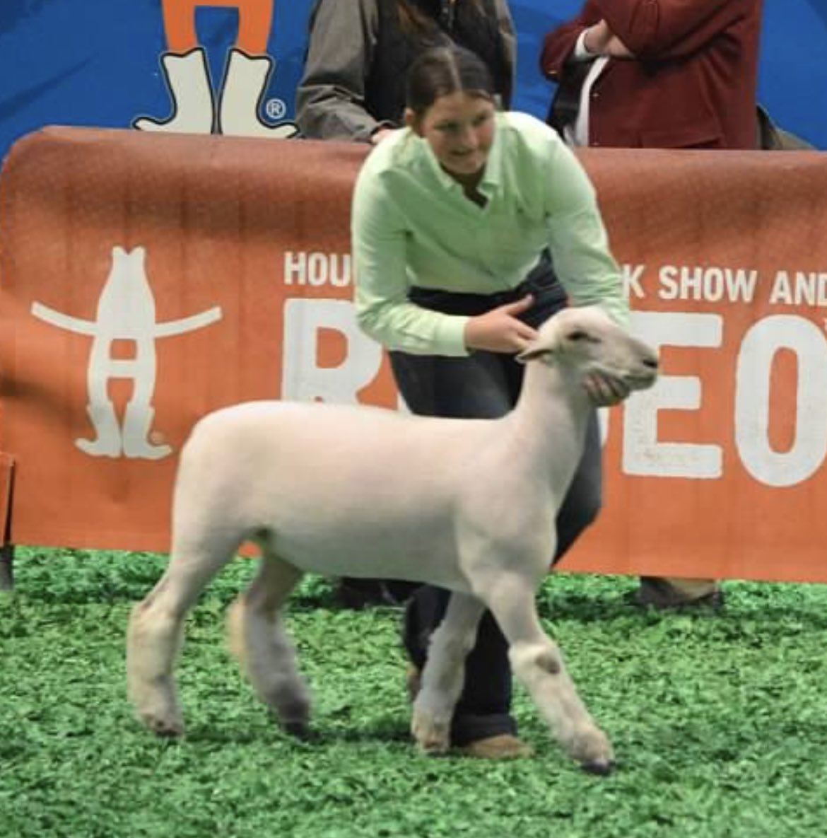 AllieFloyd2022's tweet image. Last Houston Livestock Show &amp;amp; Rodeo in the books. #anotherlast #senioryear