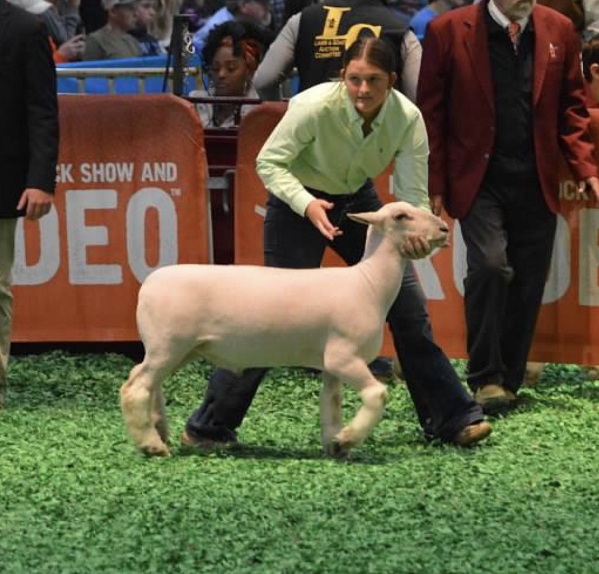 AllieFloyd2022's tweet image. Last Houston Livestock Show &amp;amp; Rodeo in the books. #anotherlast #senioryear