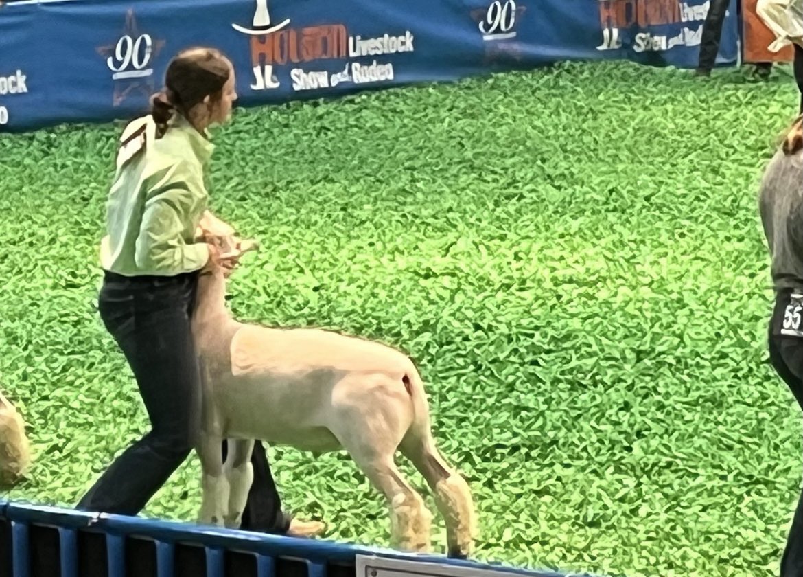 AllieFloyd2022's tweet image. Last Houston Livestock Show &amp;amp; Rodeo in the books. #anotherlast #senioryear