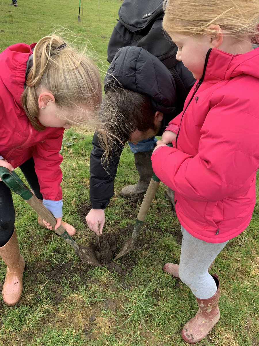 khal1eesi's tweet photo. This weekend we helped @WoodlandTrust tackle climate change and habitat loss by planting 35 trees. @Year4TPS @Year6TPS @TPSGardener #bigclimatefightback https://t.co/04ETETBDET