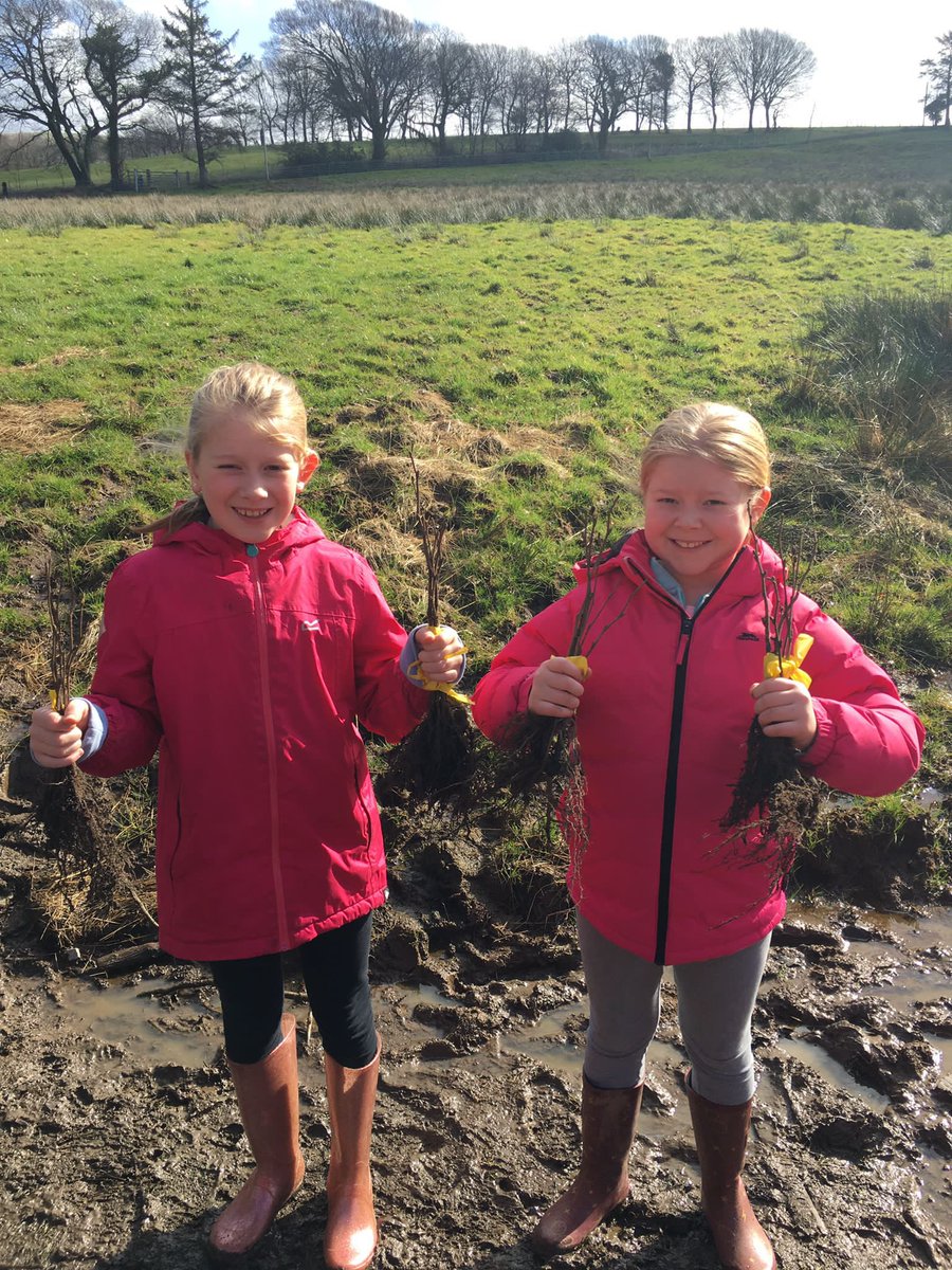 khal1eesi's tweet photo. This weekend we helped @WoodlandTrust tackle climate change and habitat loss by planting 35 trees. @Year4TPS @Year6TPS @TPSGardener #bigclimatefightback https://t.co/04ETETBDET