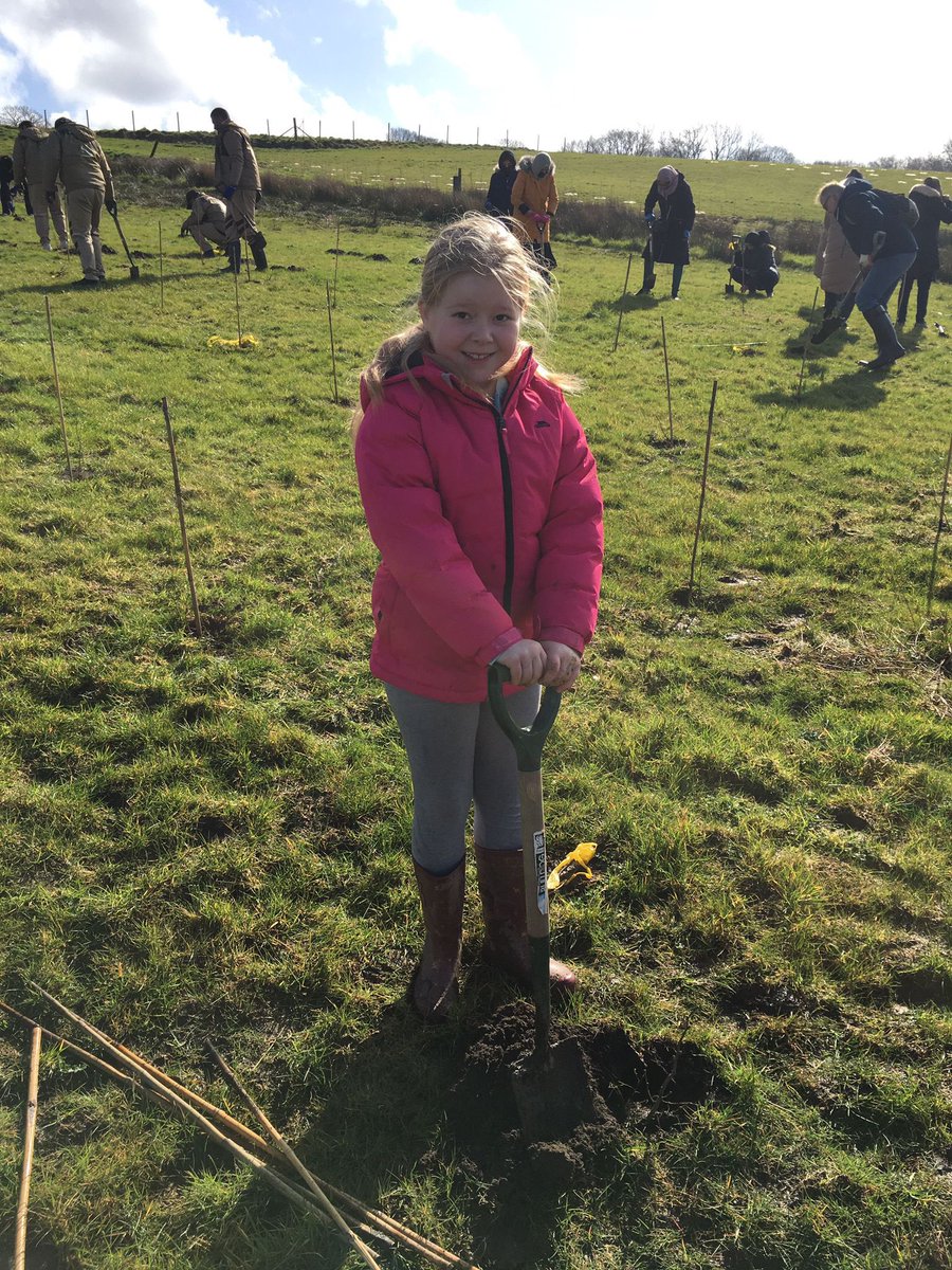 khal1eesi's tweet photo. This weekend we helped @WoodlandTrust tackle climate change and habitat loss by planting 35 trees. @Year4TPS @Year6TPS @TPSGardener #bigclimatefightback https://t.co/04ETETBDET