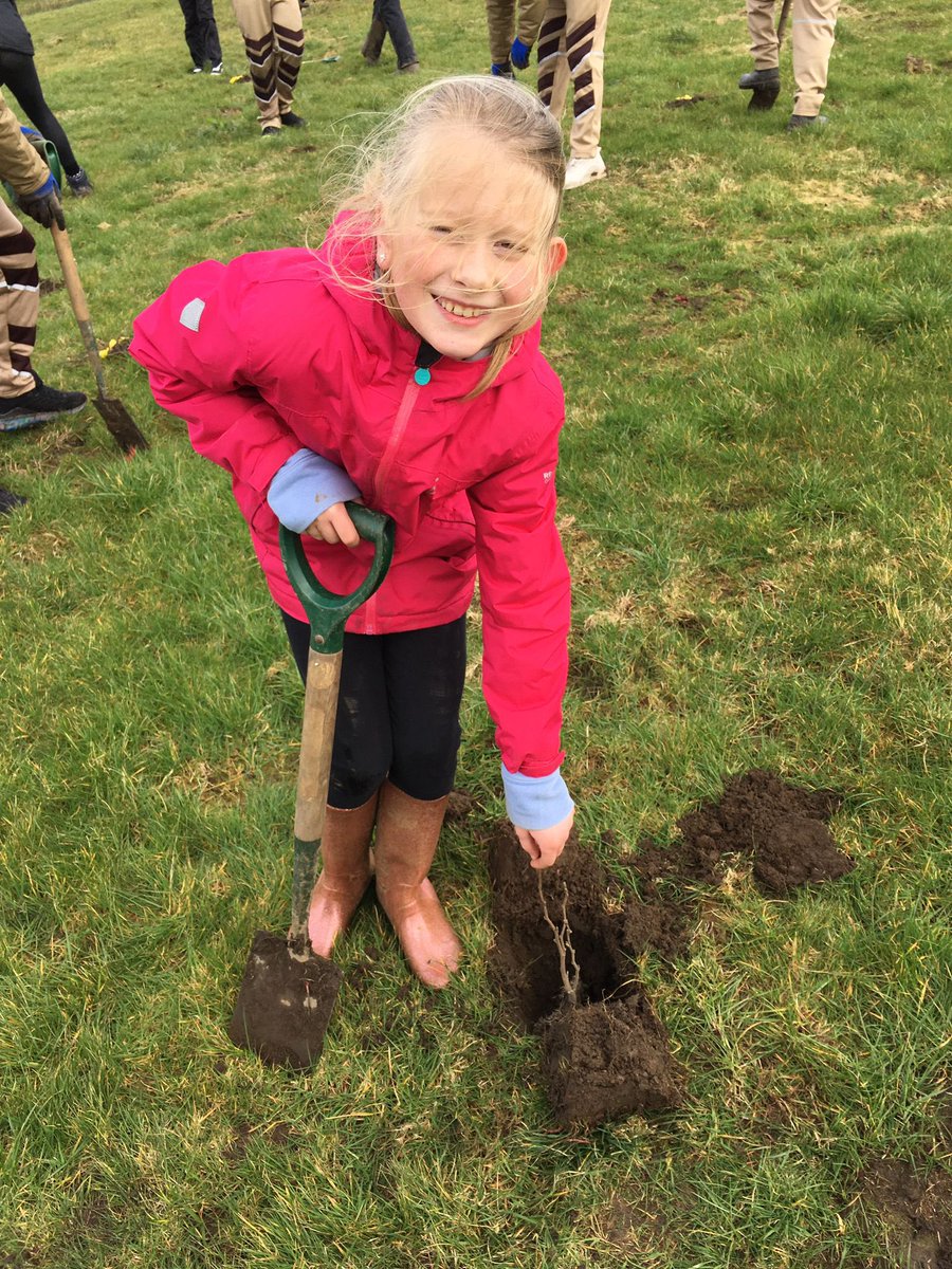 khal1eesi's tweet photo. This weekend we helped @WoodlandTrust tackle climate change and habitat loss by planting 35 trees. @Year4TPS @Year6TPS @TPSGardener #bigclimatefightback https://t.co/04ETETBDET
