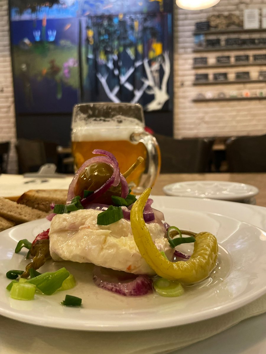 pavelhelge's tweet photo. Kender du en klassisk tjekkisk forret? Her på det lokale Prag bryggeri med sprød 11 graders lagerøl. Hav en fredelig aften

#prag #tjekkiet #forret #bryggeri #rejse #ferie #lokalguide #guide https://t.co/sioV85ytav