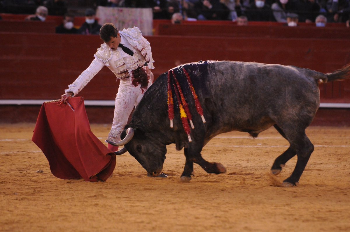 InfoDanielLuque's tweet photo. .🔴☑️ #Valencia N.79 MURALLÓN
Arrimòn de Luque al Segundo de lote.
Al que plantó cara, con un derroche de inmenso valor.
Pierde el triunfo por la espada.
Ovaciòn con saludos.
#Fallas2022 #Temporada2022 https://t.co/V3Q29u25vu