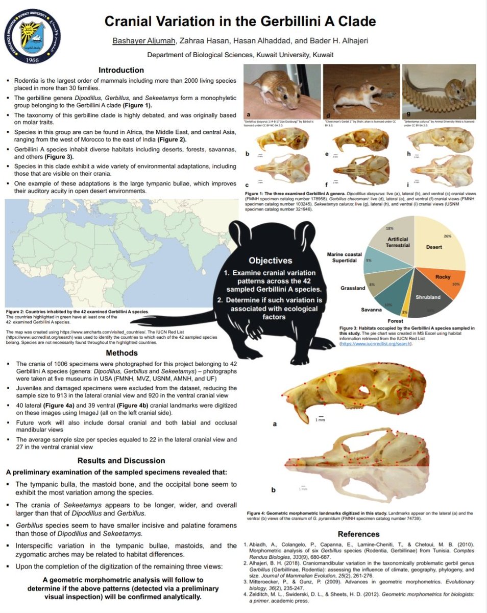Jamalid_Report's tweet photo. مشاركة الطالبة بشاير والطالبة زهراء الموسوي بيوم الملصق العلمي في جامعة الكويت ~☆.
.
#posterday #scientific_posters  #kuni #kuwaituniversity #kuwaituni الجربوع #جملات #الكويت #جامعة_الكويت# #الملصق_العلمي https://t.co/85vc7fSEBT