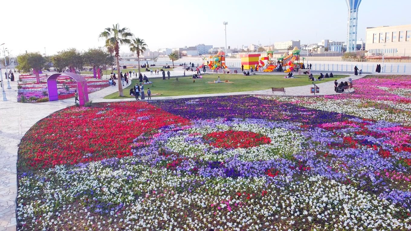 اذا زار مهرجان الزهور في ينبع يوم الخميس
