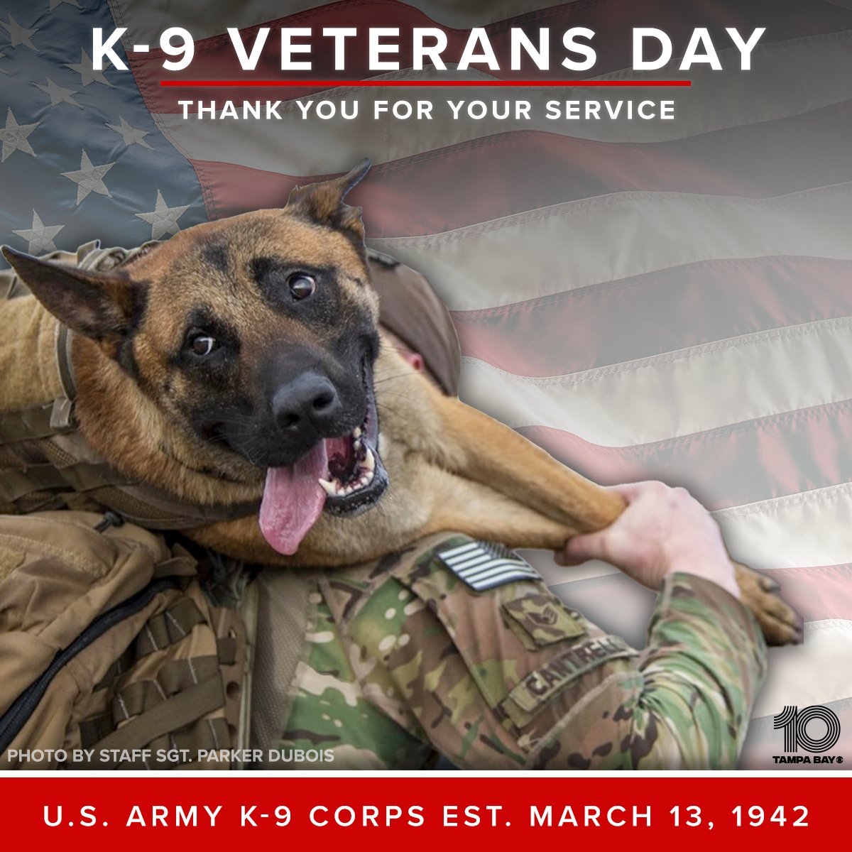 THANK YOU 🇺🇸 We are incredibly thankful for the service of hour four-legged heroes. 🐾