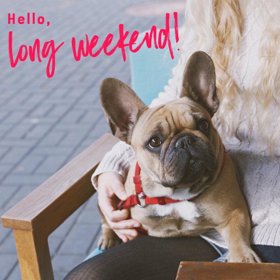 ThinkPropertyCo's tweet photo. HELLO, LONG WEEKEND: Our favourite type of weekend! Whether you’re taking a well-deserved break or spending time with loved ones, TP&amp;Co hopes you enjoy a relaxing Labour Day weekend. #ThinkPropertyCo #JustThink #BetterForEveryone #Collingwood https://t.co/imevlrOLbQ