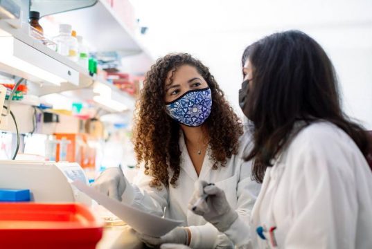 MayoClinic's tweet photo. New aging research: CD38 inhibitor increases mouse lifespan &amp; healthspan in an @AgingCell paper from Mayo scientist @PeclatThais &amp; collaborators. Read more at Discovery’s Edge https://t.co/2KbHFBUpDx https://t.co/glfR7aOrhl