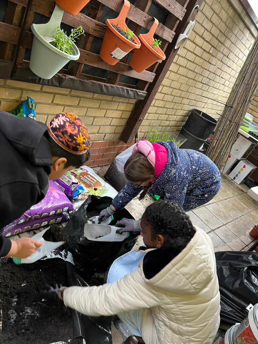 ParkSynagogue's tweet photo. We had great fun creating our #secretgarden today. We made a #livingwall, #palletgarden #hangingplants #herbs #fruit #vegetables plants for #pollinators πππ¦ππ±πΏ@unitedsynagogue #Dorotproject #fps #FinsburyParkSynagogue #HackneyJewishCommunity https://t.co/m9q6eCon8n