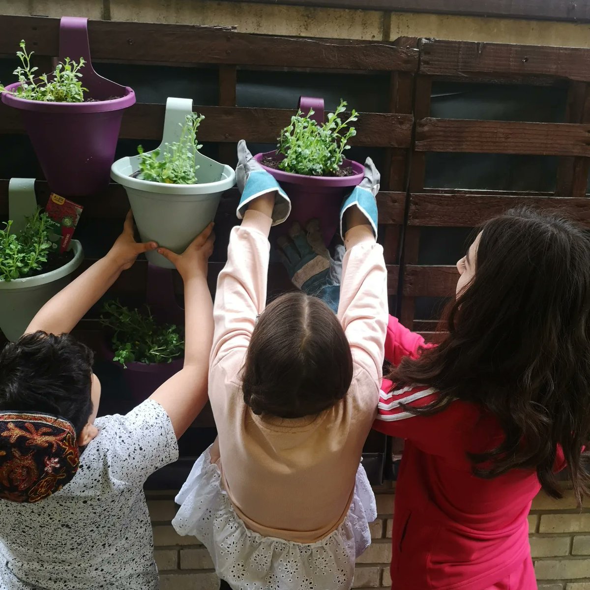 ParkSynagogue's tweet photo. We had great fun creating our #secretgarden today. We made a #livingwall, #palletgarden #hangingplants #herbs #fruit #vegetables plants for #pollinators πππ¦ππ±πΏ@unitedsynagogue #Dorotproject #fps #FinsburyParkSynagogue #HackneyJewishCommunity https://t.co/m9q6eCon8n