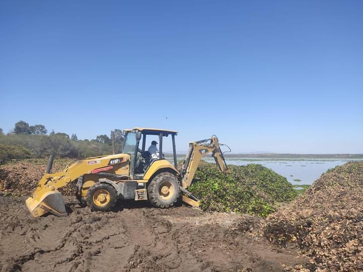NewsSanmiguel's tweet photo. #REMUEVEN LIRIO.- Así los trabajos que se realizan en la presa #Allende. Los trabajos son realizados por el gobierno municipal ante la falta de apoyo de @conagua_mx, encargadas del cuidado de las presas, arroyos, ríos y cuencas de México
#SanMigueldeAllende
📸 MauricioTrejo https://t.co/9f5UWOdLHM
