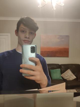 Mock 🐢 tweet media