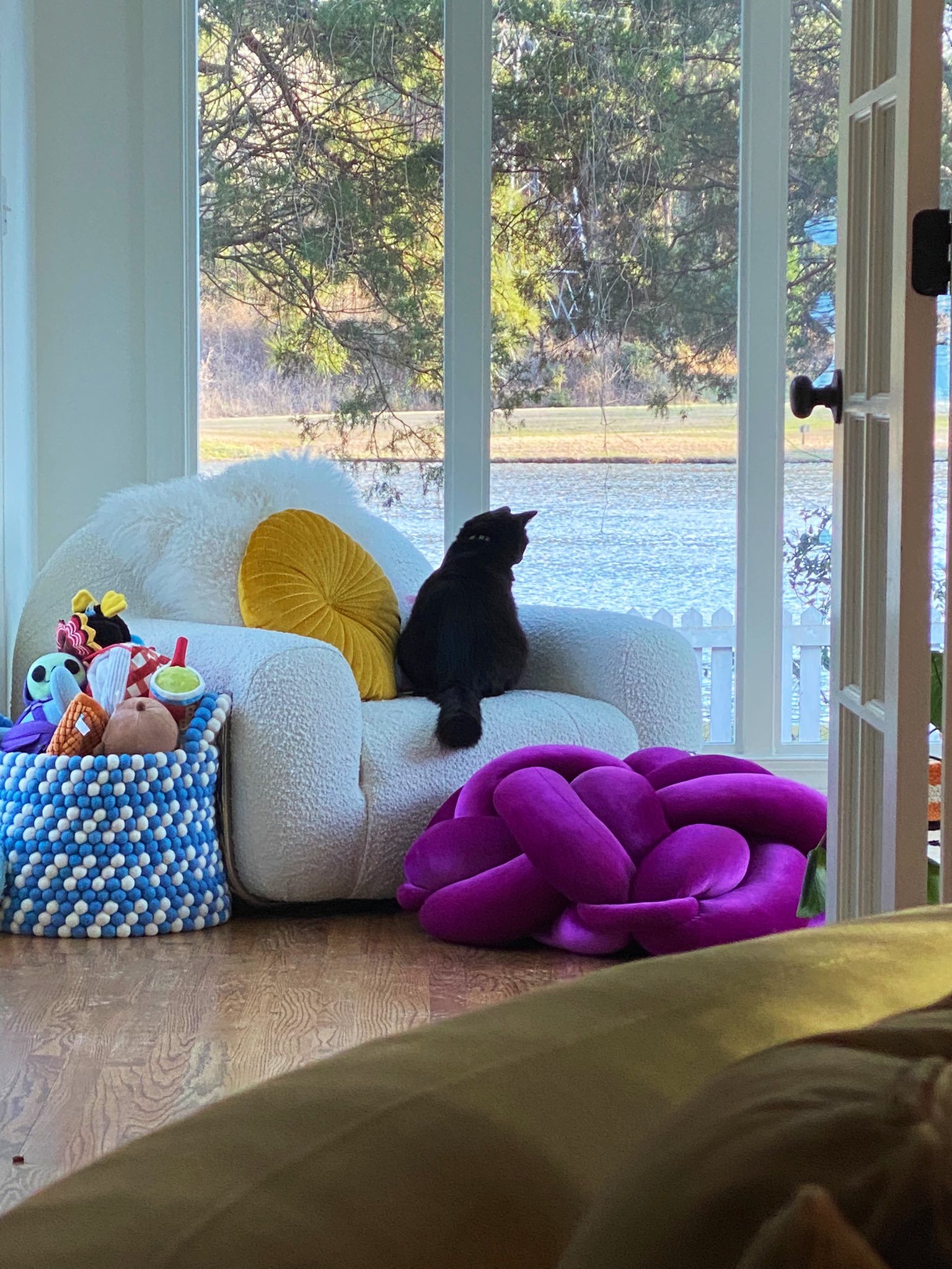 based meowri on Twitter "he big chillin https//t.co/SSSFldwzvB" / Twitter