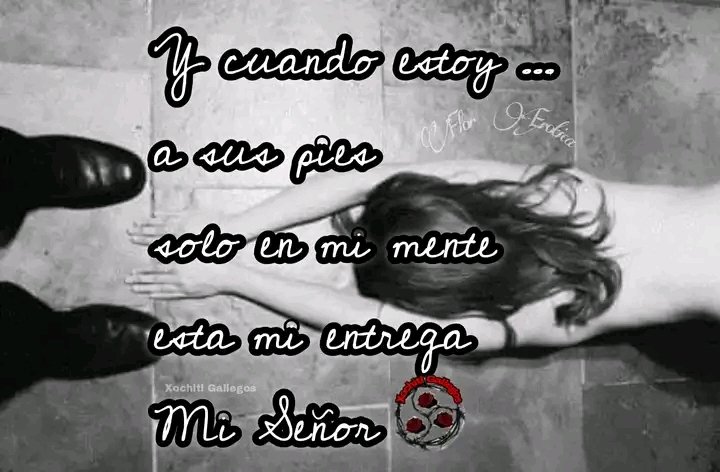 sumisasinAMO's tweet photo. A sus pies siempre https://t.co/a9JE6v09pN