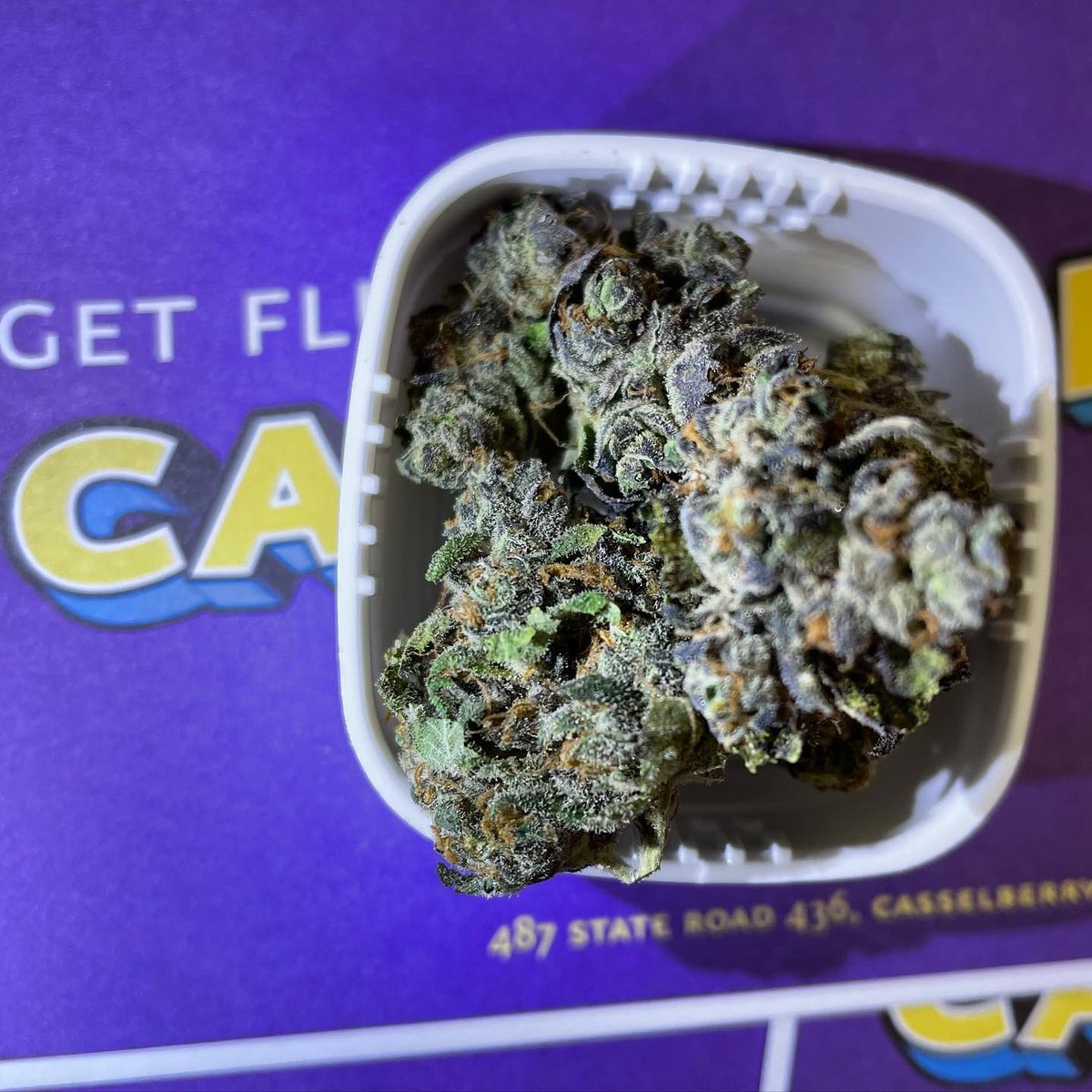 fluentcannabis's tweet photo. #Didyouknow you can get FREE Fluent Flower (and any Fluent product) with reward points? π€―
500 points = $45 off
1000 points = $100 off
What's in your wallet? π https://t.co/3sxe593xCM
#WeSpeakCannabis #WeedRewards #TreatYoSelf https://t.co/BPnRYQtdiD