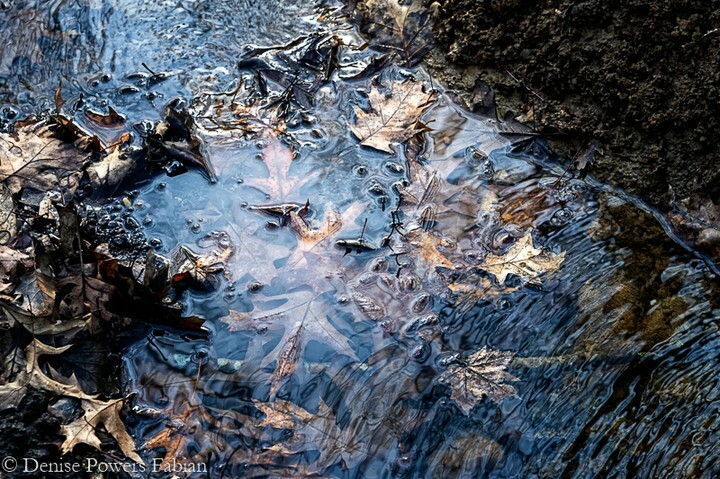 The muddy, leaf-littered waters of a thaw.
.
.
#earlymarch #pin #leafs #ripples #water #naturelovers #mud #lionspark #mogadore #summitcounty #ohio #ohiophotographer #ohiophotography #nature #browns instagr.am/p/CbDlzJpu67n/