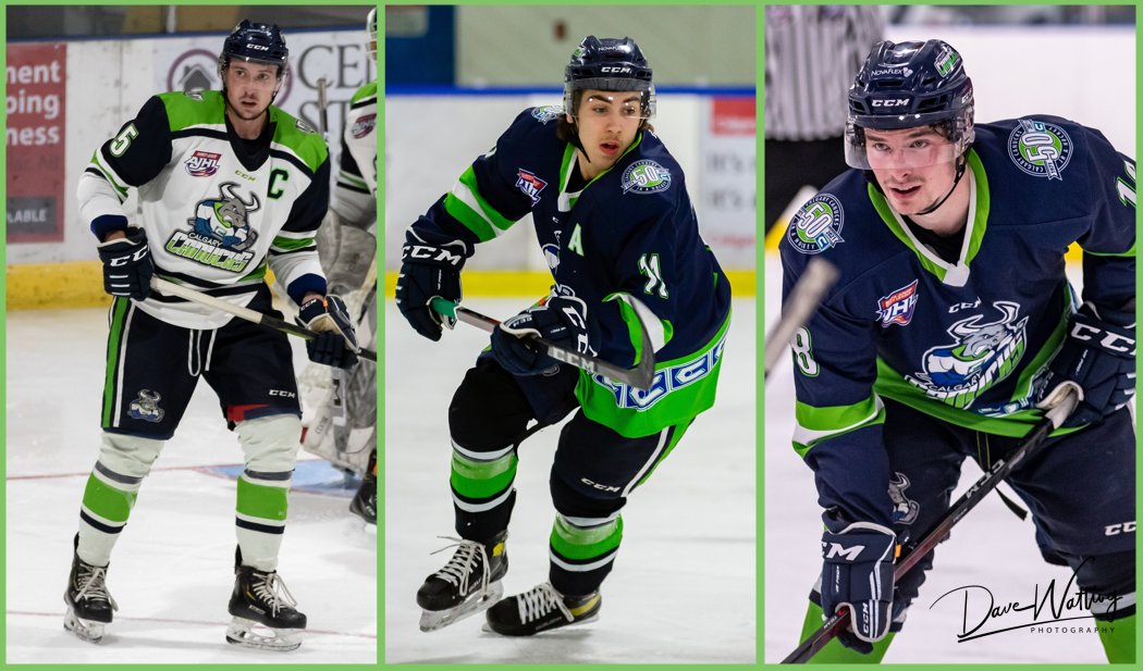 Calgary Canucks tweet media