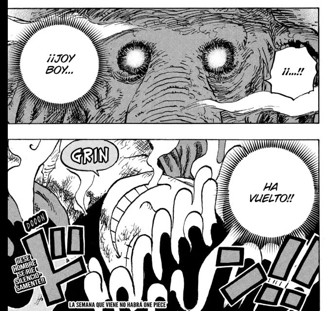 LUFFY es el Verdadero JOY BOY de hace 800 años?