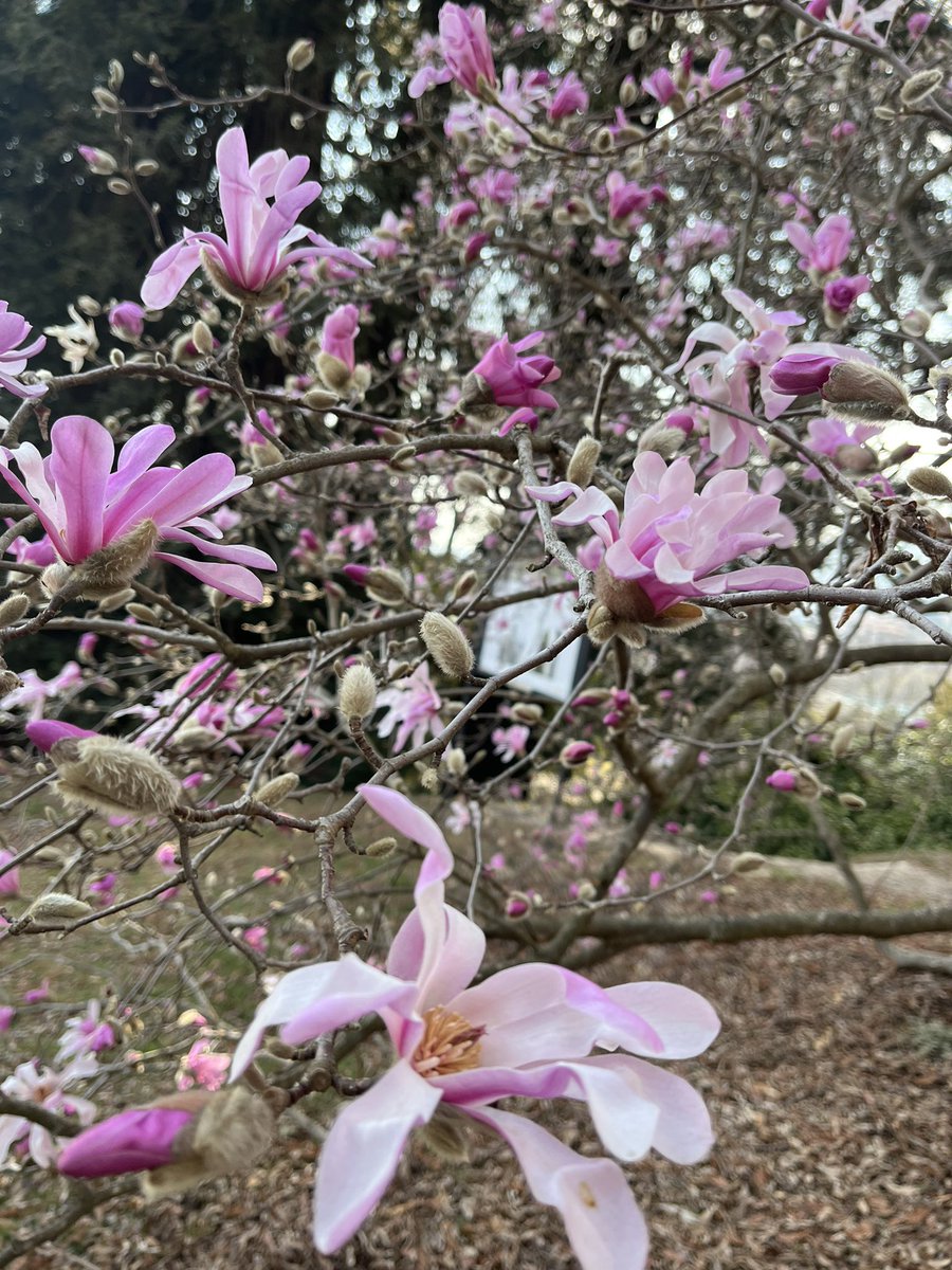 SoletoTravel's tweet image. #spring is in the air