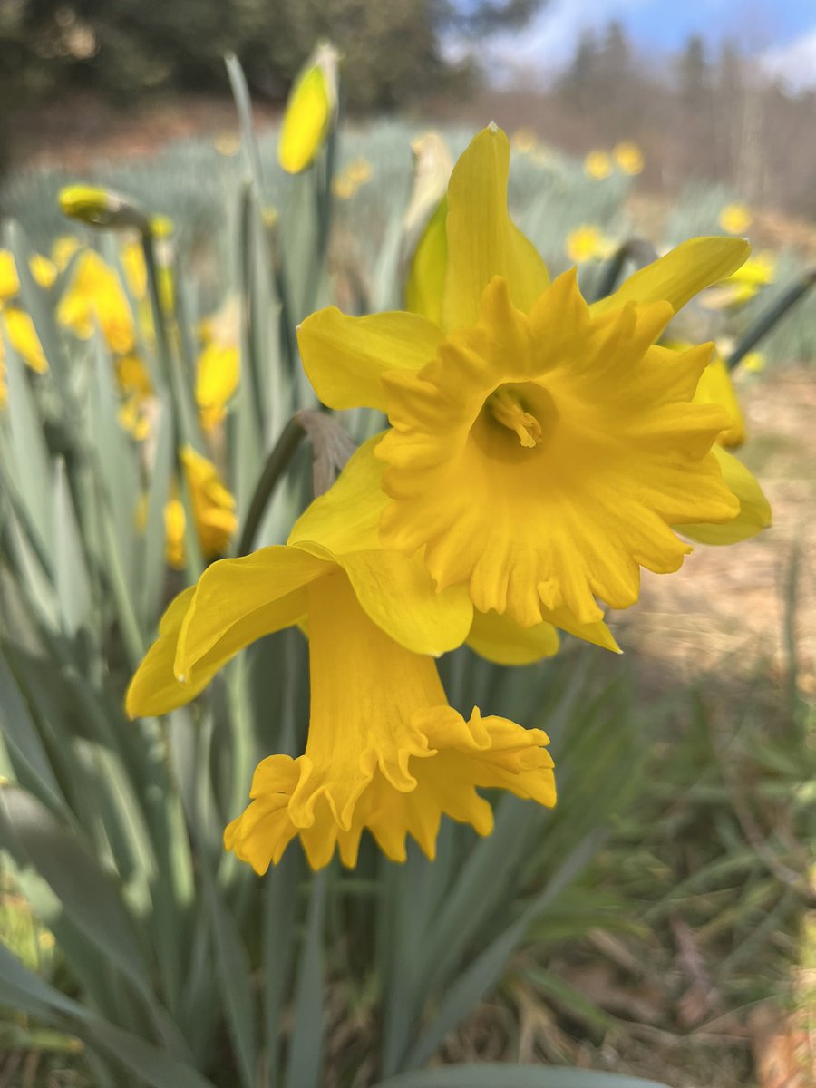 SoletoTravel's tweet image. #spring is in the air