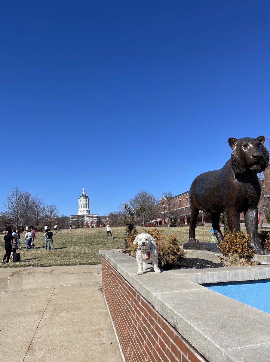 vairama's tweet photo. We hereby announce the arrival of Spring at ⁦⁦⁦@Mizzou⁩ ! ⁦@MizzouBusiness⁩ ⁦ https://t.co/ntwC48NENL