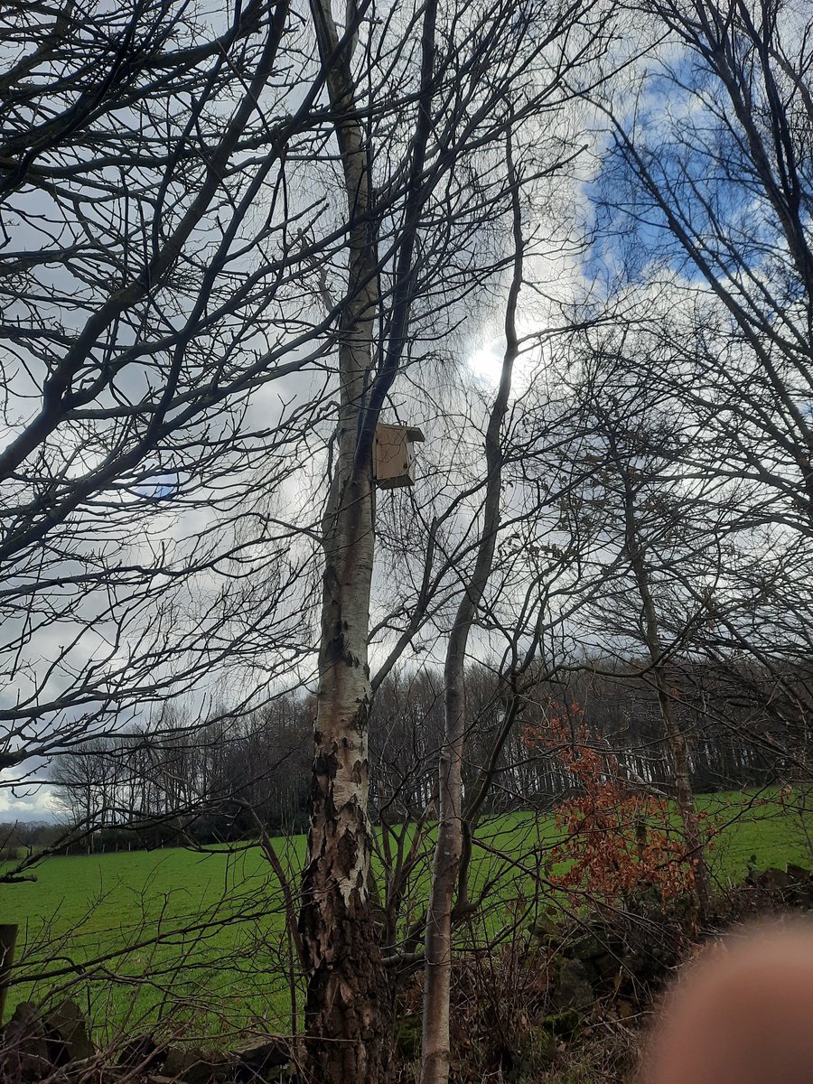 Cubs and Scouts from 8th Wakefield (Horbury Bridge) and Scouts from 39th Wakefield (Alverthorpe) have over the weekend been at <a href="/calderdrift/">Calderdrift Campsite</a> Campsite planting trees, leaving bird boxes and helping the environment.