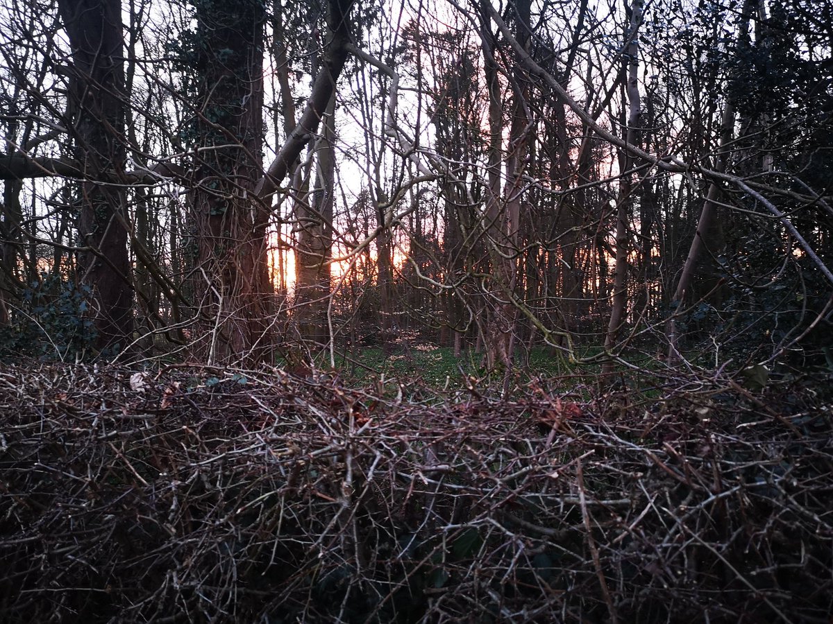 smity_873's tweet photo. #walkwithcharlie
Evening walk to clear my head, very lucky to be able to walk out my door and be surrounded by beautiful views 🌄 https://t.co/HoDvzDWsZl