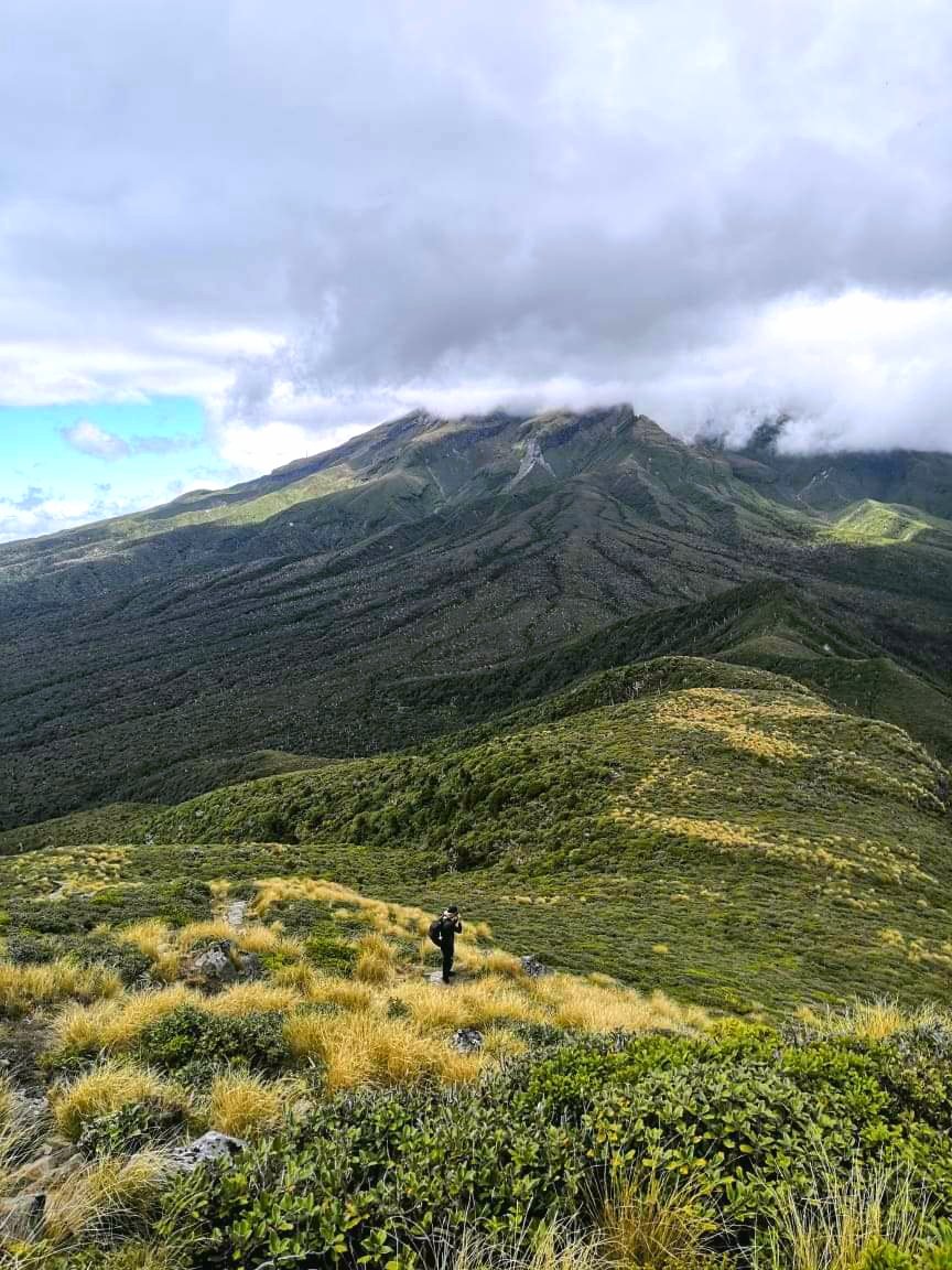 shzeephoto's tweet photo. Happy Taranaki Anniversary! ⛰️ #taranaki #Anniversary @Taranaki_NZ @TaranakiRC @NPDCouncil https://t.co/5eCDV3IX0h